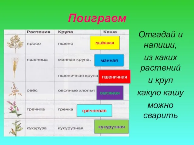 Поиграем Отгадай и напиши, из каких растений и круп какую кашу