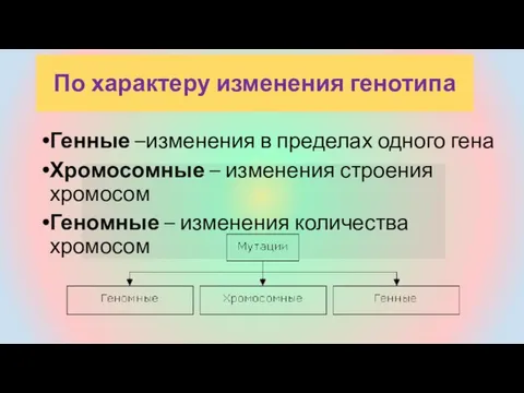 Генные –изменения в пределах одного гена Хромосомные – изменения строения хромосом