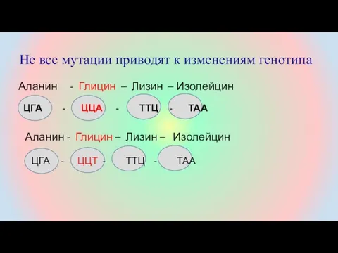 Аланин - Глицин – Лизин – Изолейцин Не все мутации приводят