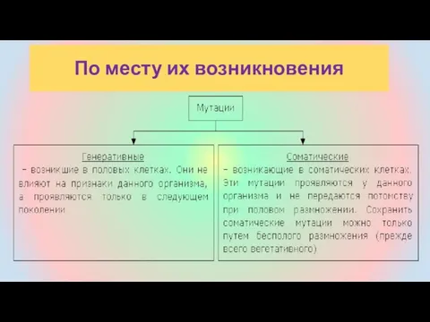 По месту их возникновения