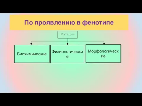 По проявлению в фенотипе Биохимические Физиологические Морфологические