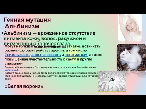 Генная мутация Альбинизм Альбинизм — врождённое отсутствие пигмента кожи, волос, радужной