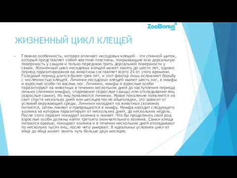 ЖИЗНЕННЫЙ ЦИКЛ КЛЕЩЕЙ Главная особенность, которая отличает иксодовых клещей – это