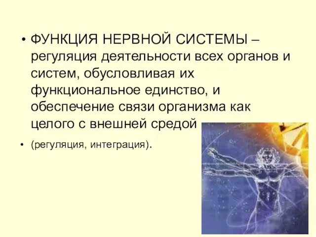 ФУНКЦИЯ НЕРВНОЙ СИСТЕМЫ – регуляция деятельности всех органов и систем, обусловливая