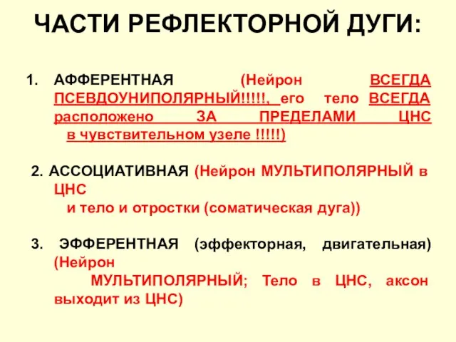 ЧАСТИ РЕФЛЕКТОРНОЙ ДУГИ: АФФЕРЕНТНАЯ (Нейрон ВСЕГДА ПСЕВДОУНИПОЛЯРНЫЙ!!!!!, его тело ВСЕГДА расположено