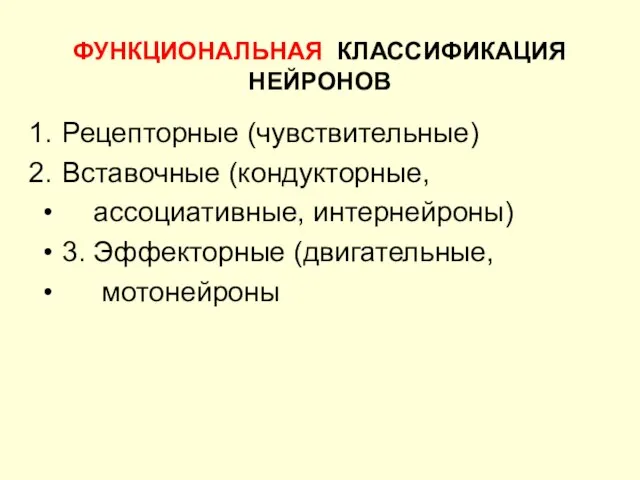 ФУНКЦИОНАЛЬНАЯ КЛАССИФИКАЦИЯ НЕЙРОНОВ Рецепторные (чувствительные) Вставочные (кондукторные, ассоциативные, интернейроны) 3. Эффекторные (двигательные, мотонейроны