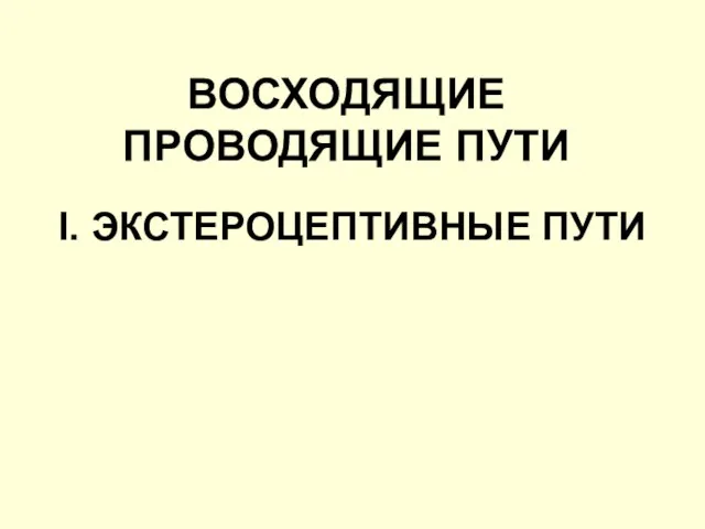 I. ЭКСТЕРОЦЕПТИВНЫЕ ПУТИ ВОСХОДЯЩИЕ ПРОВОДЯЩИЕ ПУТИ