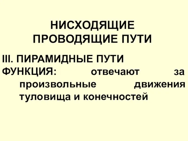 НИСХОДЯЩИЕ ПРОВОДЯЩИЕ ПУТИ III. ПИРАМИДНЫЕ ПУТИ ФУНКЦИЯ: отвечают за произвольные движения туловища и конечностей