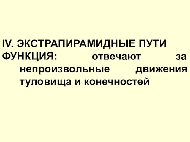 IV. ЭКСТРАПИРАМИДНЫЕ ПУТИ ФУНКЦИЯ: отвечают за непроизвольные движения туловища и конечностей