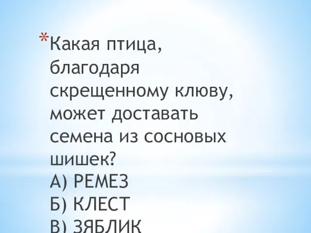 Какая птица, благодаря скрещенному клюву, может доставать семена из сосновых шишек?