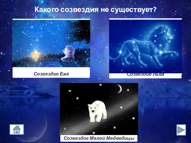 Какого созвездия не существует?