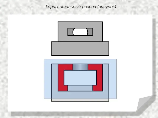 Горизонтальный разрез (рисунок)