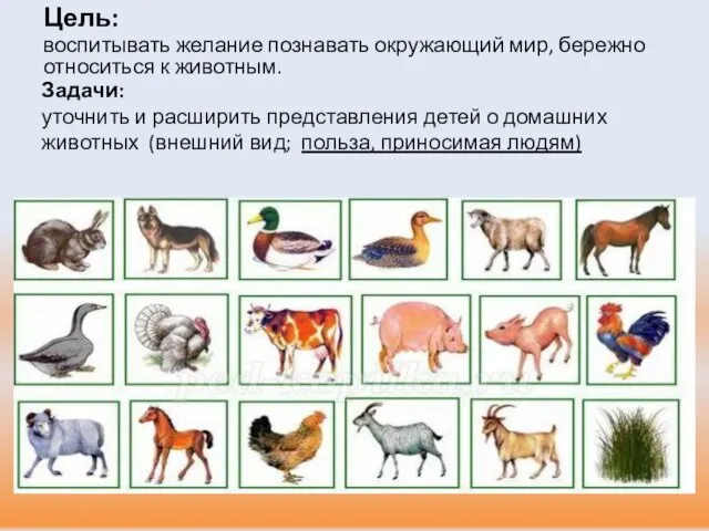 Задачи: уточнить и расширить представления детей о домашних животных (внешний вид;