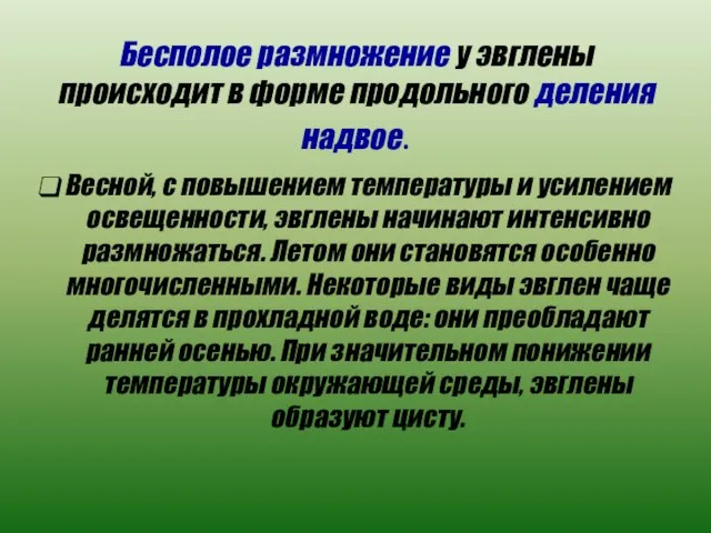 Бесполое размножение у эвглены происходит в форме продольного деления надвое. Весной,