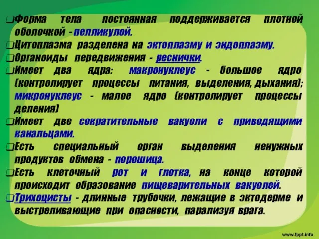 Форма тела постоянная поддерживается плотной оболочкой - пелликулой. Цитоплазма разделена на