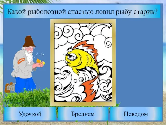 Какой рыболовной снастью ловил рыбу старик? Бреднем Удочкой Неводом