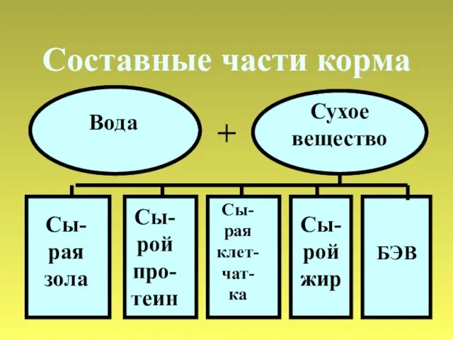 Составные части корма Вода Сы-рая зола Сы-рой про-теин Сы-рая клет-чат-ка Сы-рой жир БЭВ Сухое вещество +