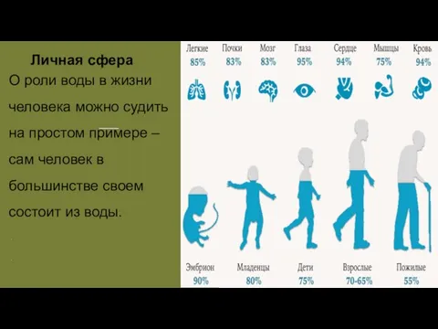 Личная сфера О роли воды в жизни человека можно судить на