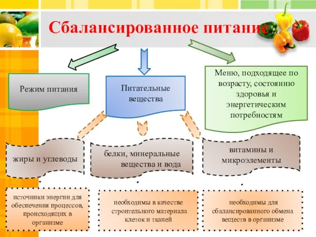 Питательные вещества Меню, подходящее по возрасту, состоянию здоровья и энергетическим потребностям