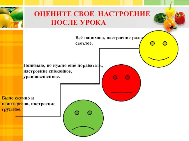 ОЦЕНИТЕ СВОЕ НАСТРОЕНИЕ ПОСЛЕ УРОКА Было скучно и неинтересно, настроение грустное.