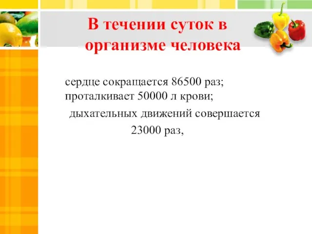 В течении суток в организме человека сердце сокращается 86500 раз; проталкивает