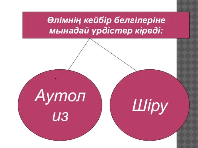 Аутолиз Шіру Өлімнің кейбір белгілеріне мынадай үрдістер кіреді: