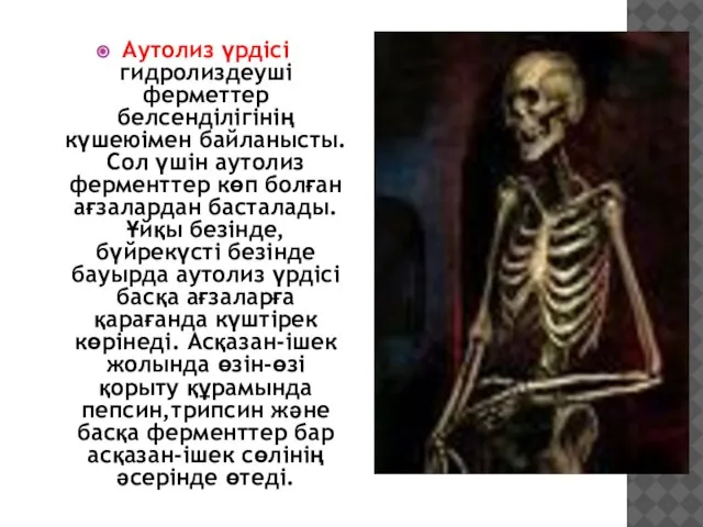 Аутолиз үрдісі гидролиздеуші ферметтер белсенділігінің күшеюімен байланысты. Сол үшін аутолиз ферменттер