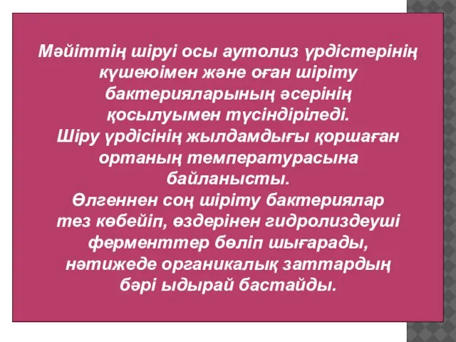 Мәйіттің шіруі осы аутолиз үрдістерінің күшеюімен және оған шіріту бактерияларының әсерінің