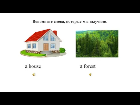 Вспомните слова, которые мы выучили. a house a forest