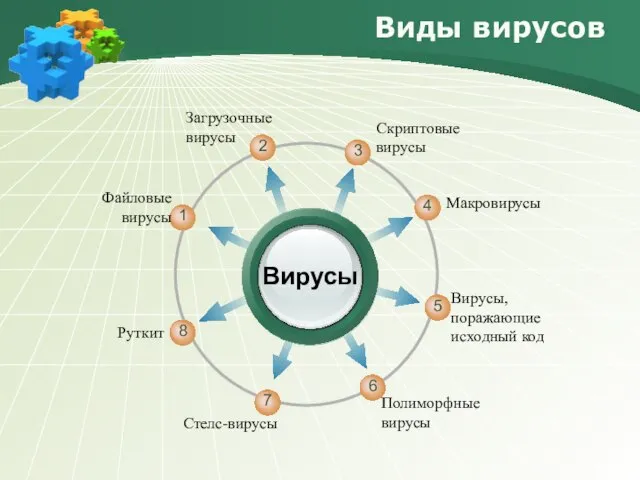 Вирусы Макровирусы Файловые вирусы Вирусы, поражающие исходный код Полиморфные вирусы Руткит