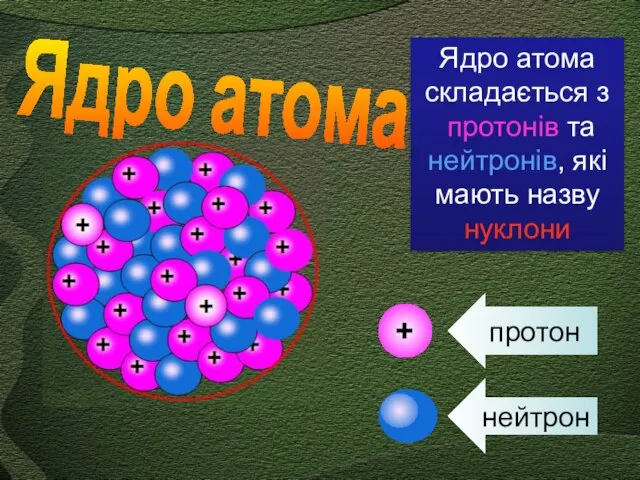 + протон нейтрон Ядро атома складається з протонів та нейтронів, які мають назву нуклони Ядро атома