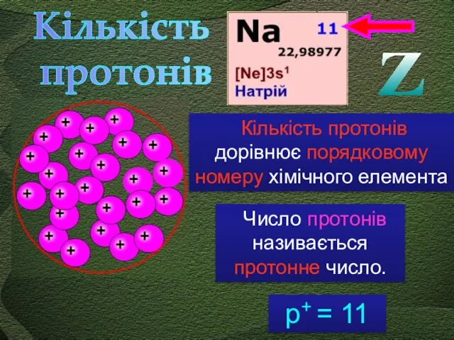 Z Число протонів називається протонне число. р+ = 11 Кількість протонів