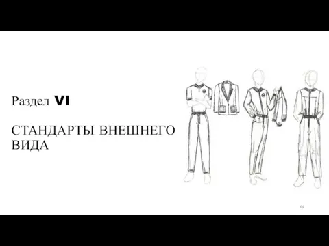 Раздел VI СТАНДАРТЫ ВНЕШНЕГО ВИДА