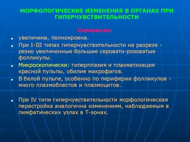 МОРФОЛОГИЧЕСКИЕ ИЗМЕНЕНИЯ В ОРГАНАХ ПРИ ГИПЕРЧУВСТВИТЕЛЬНОСТИ Селезенка: увеличена, полнокровна. При I-III