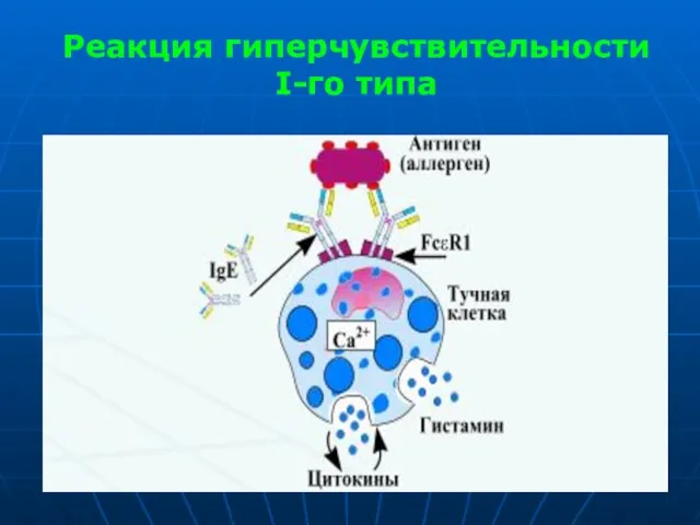 Реакция гиперчувствительности I-го типа