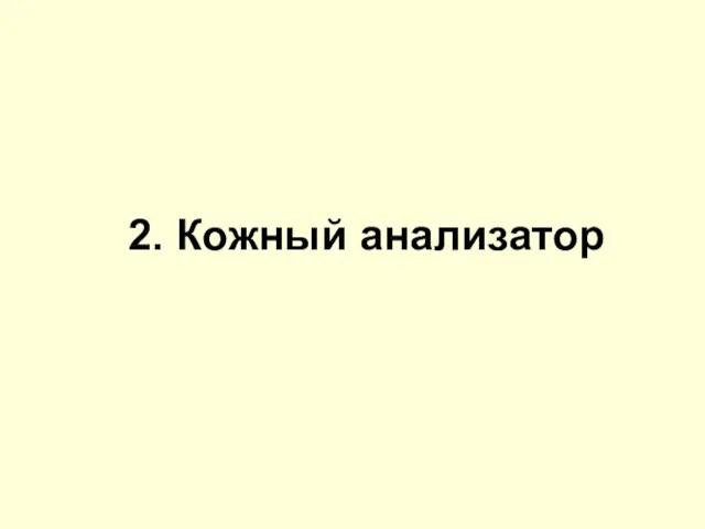 2. Кожный анализатор