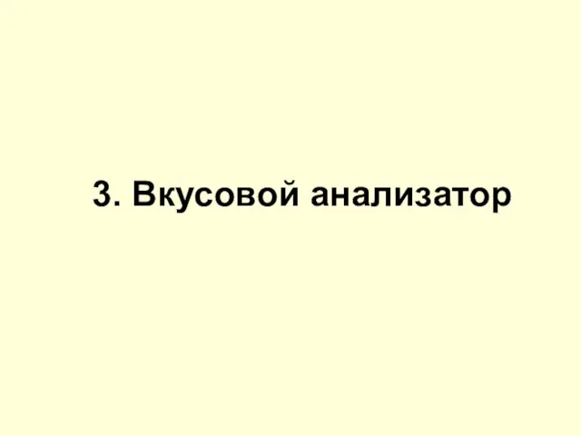 3. Вкусовой анализатор