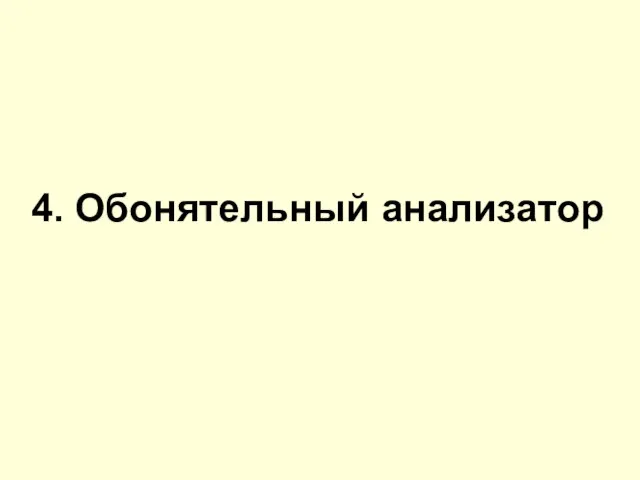 4. Обонятельный анализатор