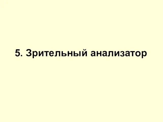 5. Зрительный анализатор