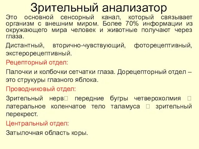 Зрительный анализатор Это основной сенсорный канал, который связывает организм с внешним