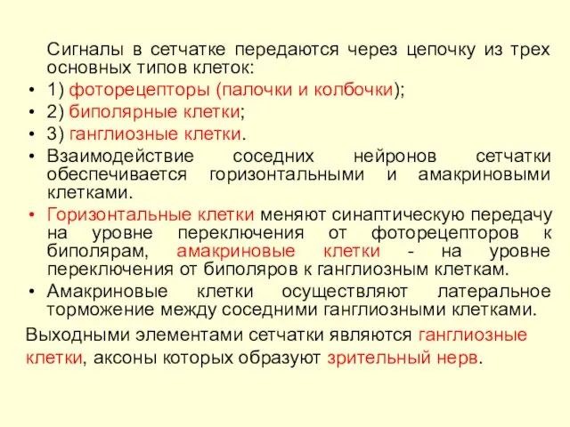 Сигналы в сетчатке передаются через цепочку из трех основных типов клеток: