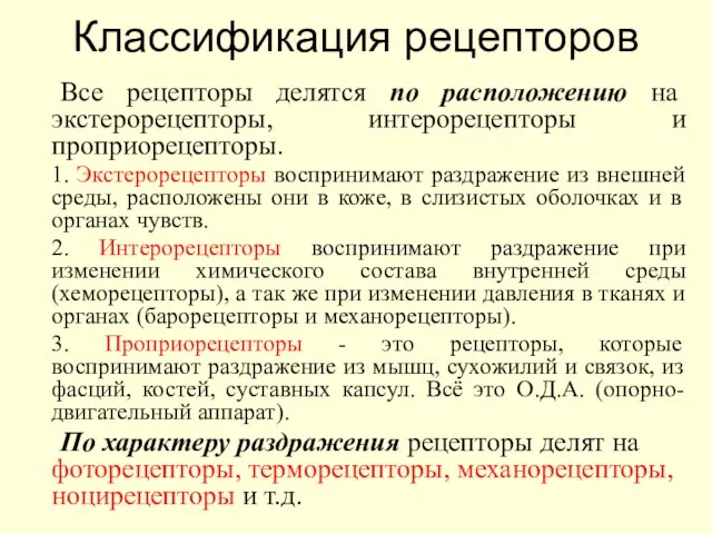 Классификация рецепторов Все рецепторы делятся по расположению на экстерорецепторы, интерорецепторы и