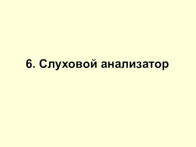 6. Слуховой анализатор