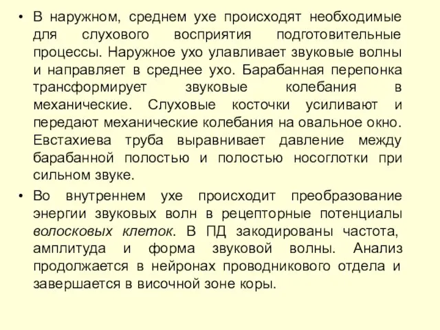 В наружном, среднем ухе происходят необходимые для слухового восприятия подготовительные процессы.