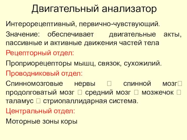 Двигательный анализатор Интерорецептивный, первично-чувствующий. Значение: обеспечивает двигательные акты, пассивные и активные