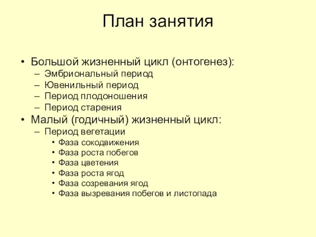 План занятия Большой жизненный цикл (онтогенез): Эмбриональный период Ювенильный период Период