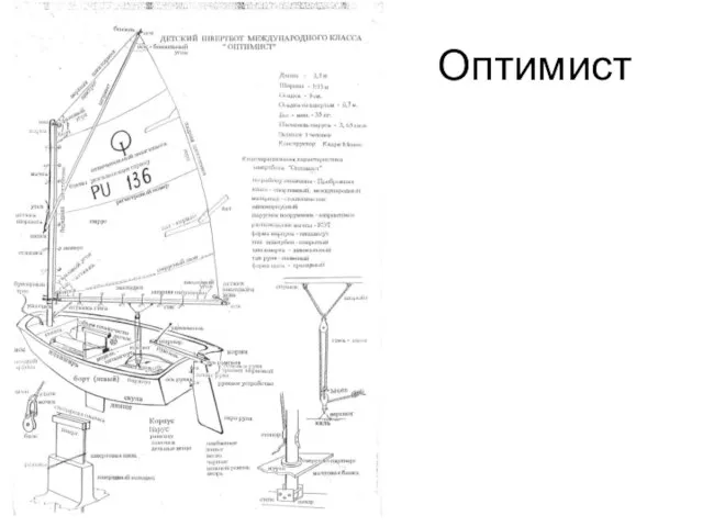 Оптимист