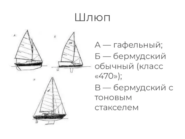 Шлюп А — гафельный; Б — бермудский обычный (класс «470»); В — бермудский с тоновым стакселем