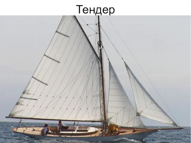 Тендер