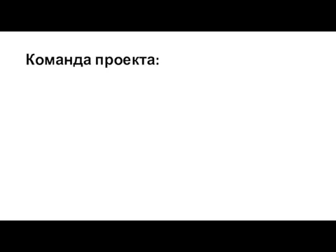 Команда проекта: